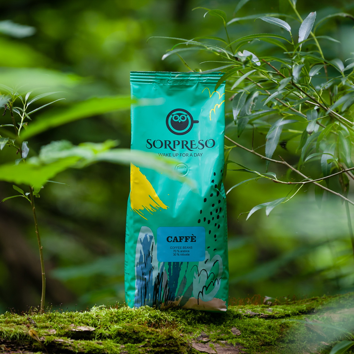 ^95729906FC47FCEBBDEBEAB691C0387AA38B3D151E1B3A2F1B^pimgpsh_fullsize_distr