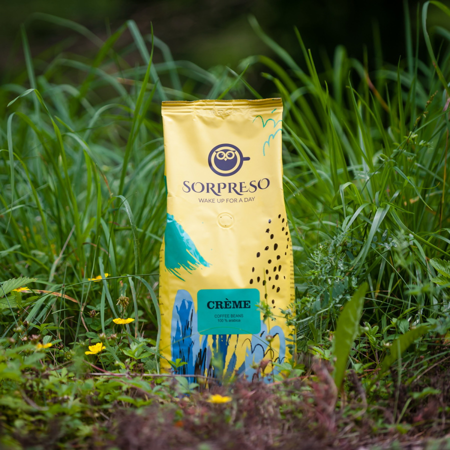 ^6C260D298A747B77EDFCB15CC2D7B49C1E5B8EBC18CDD8449D^pimgpsh_fullsize_distr